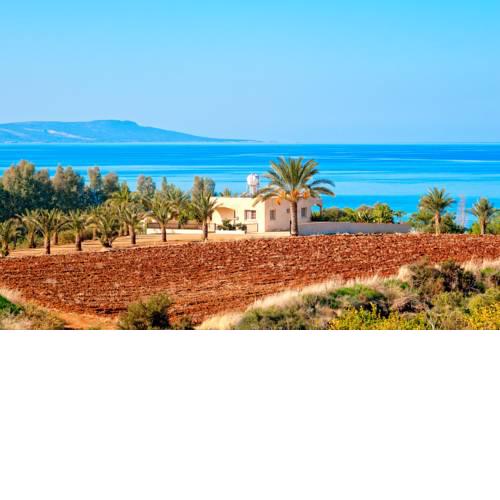 Villa 339