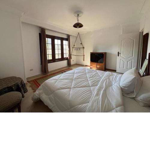 Villa 35 R 21