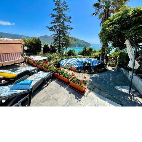 Villa Agavi