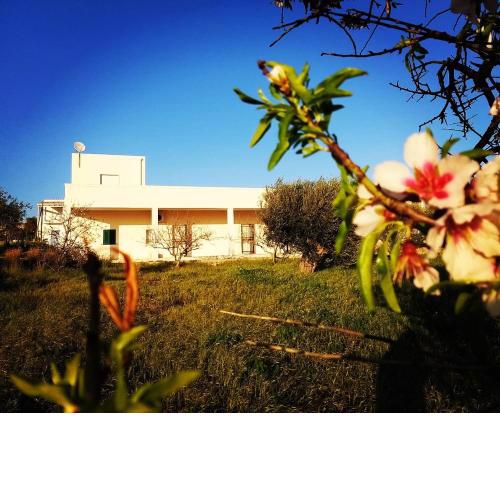Villa Albatros