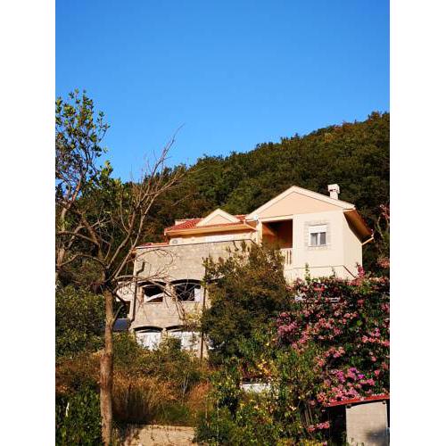 Villa Aleks Buljarica