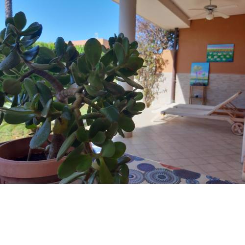 Villa Alice