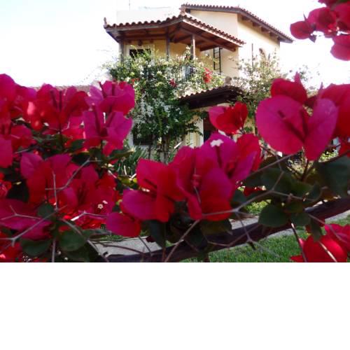 Villa Alissos