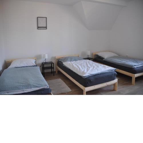 Villa Amarotico byt 3 Plesná