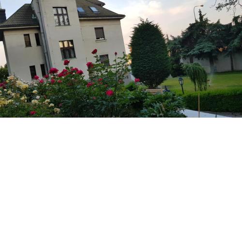 Villa Antonie