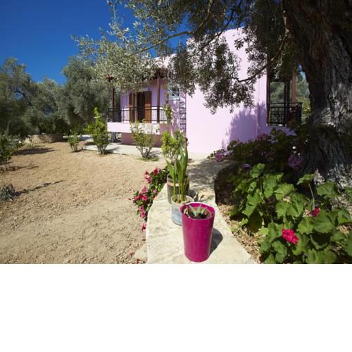 Villa Athina: Experience the real Cretan nature!