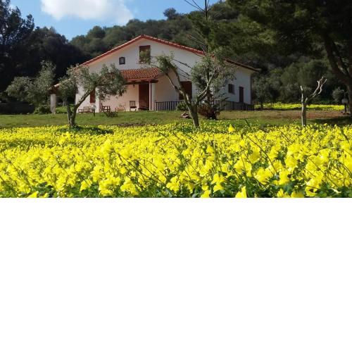 Villa Blanca