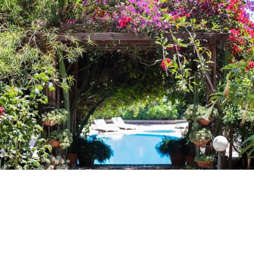 Villa Bloom