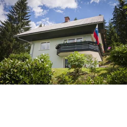 Villa Bohinj