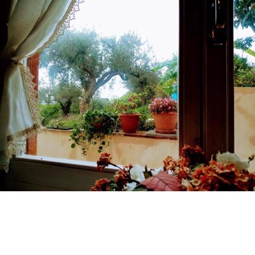 Villa Calcasacco