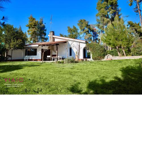 #Villa Calysto by halu! Sani Villas