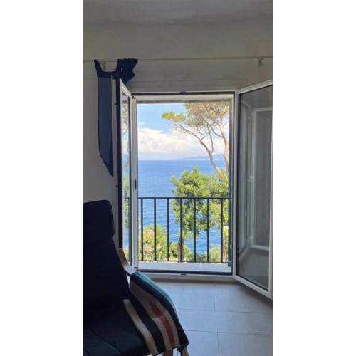 Villa Caprese