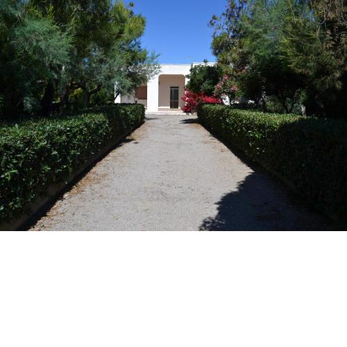 Villa Cino