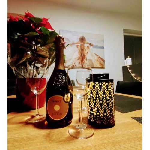 Villa Comfort & Wellness