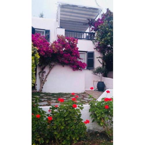 Villa Danai