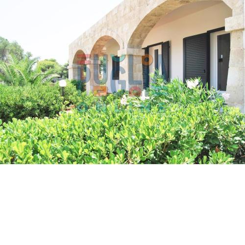 Villa di Nesco