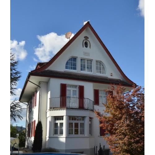 Villa Dietikon 1