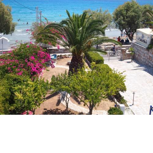 Villa Dolphin