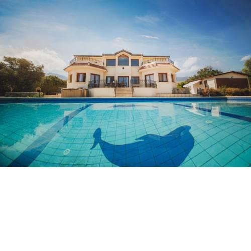 Villa Dolphin