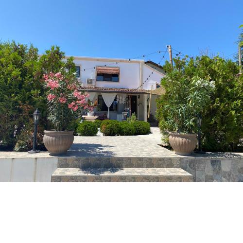 Villa Dune
