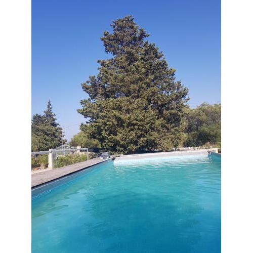 Villa Elena