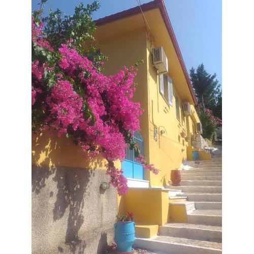 Villa Eleni
