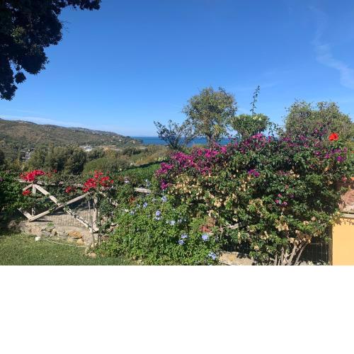 Villa Elisa