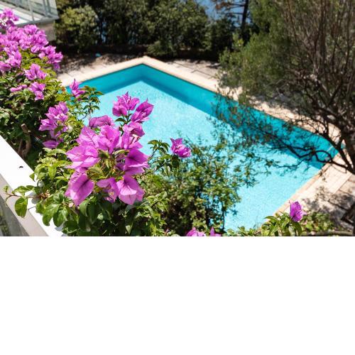 Villa Elisabetta luxury property in Moneglia