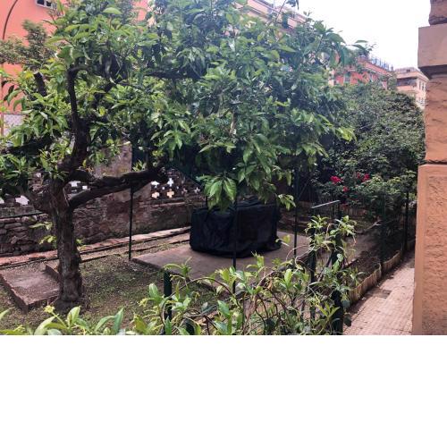 Villa Ella