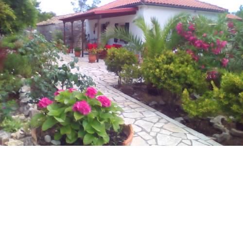 Villa Elvira