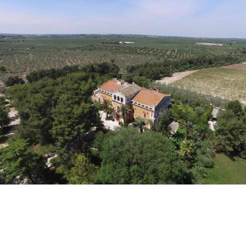 Villa Fenicia