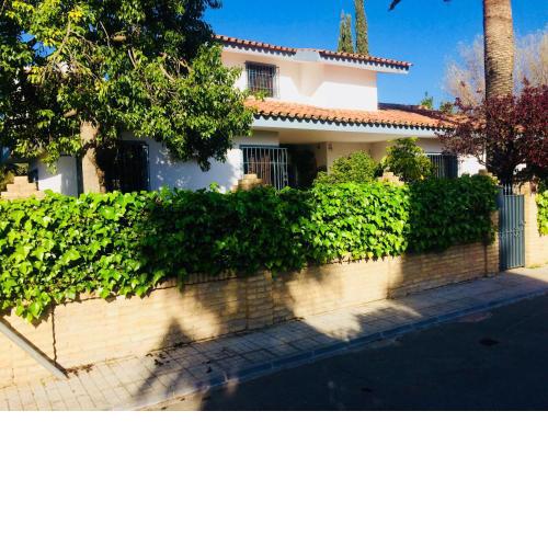 Villa Ferrer en las colinas de la campiña sevillana