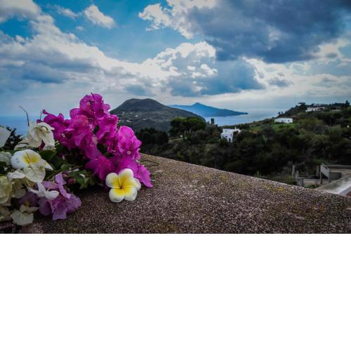 Villa Fiorita Lipari - Villa Fiori di Campo