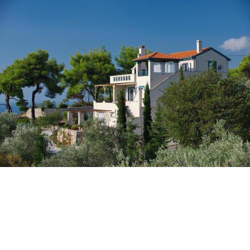 Villa Flora .The whole Villa.
