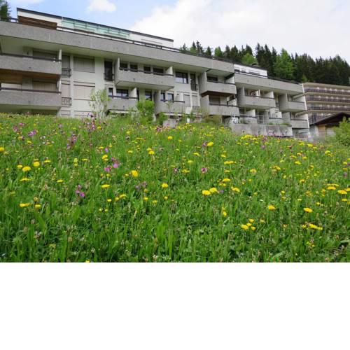 Villa Franca U06