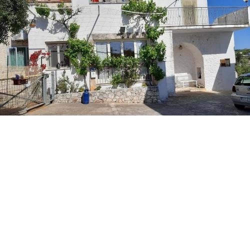 VILLA FRANKY