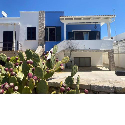 Villa fronte mare