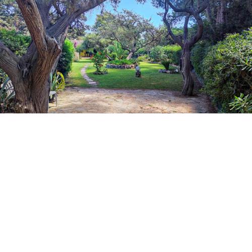 VILLA i GINEPRI