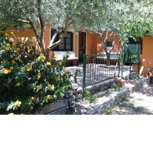 Villa Il Vigneto