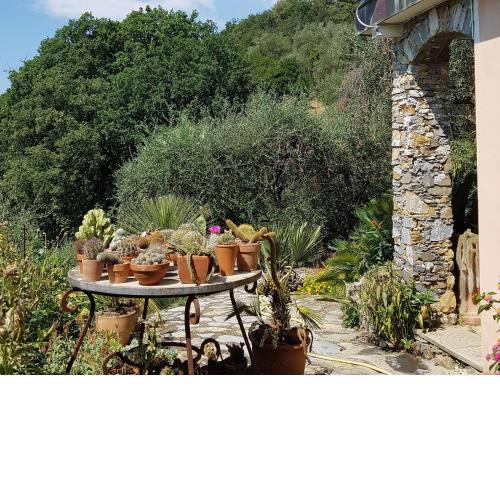 Villa in Rapallo with Terrace Garden Veranda Barbecue