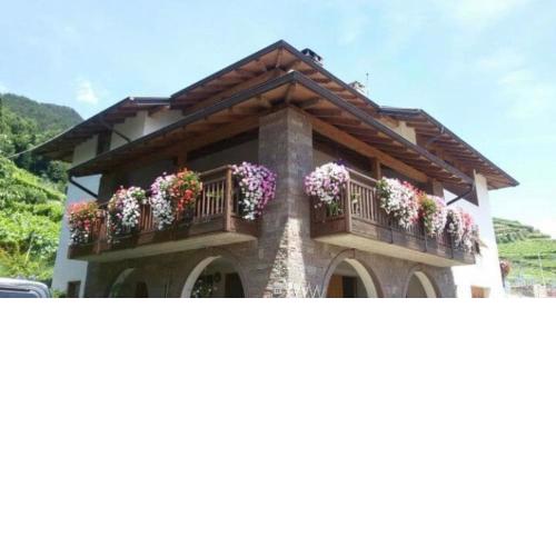 Villa Irma