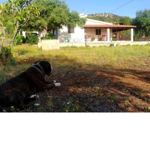 Villa Jè