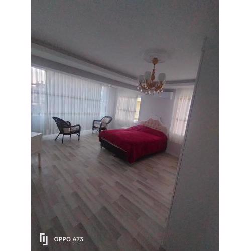 Villa king
