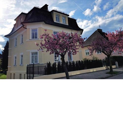 Villa Kreuzbergl - Einzelzimmer