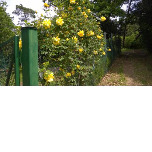 Villa La Colonia