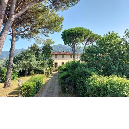 Villa Landini