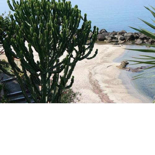 Villa Laura - sul mare