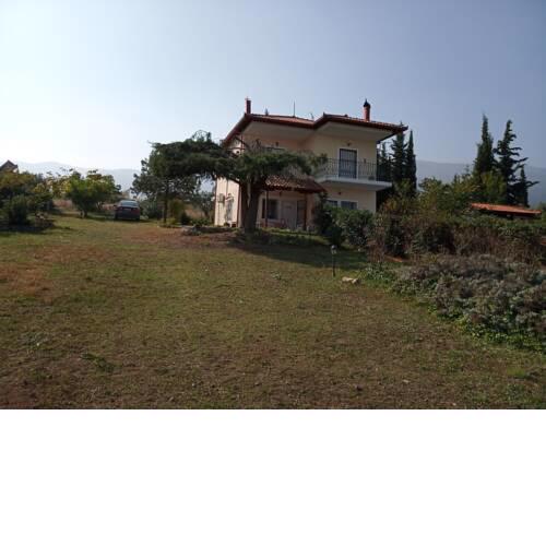 VILLA LINA