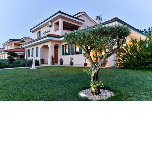Villa Luciana, Buje