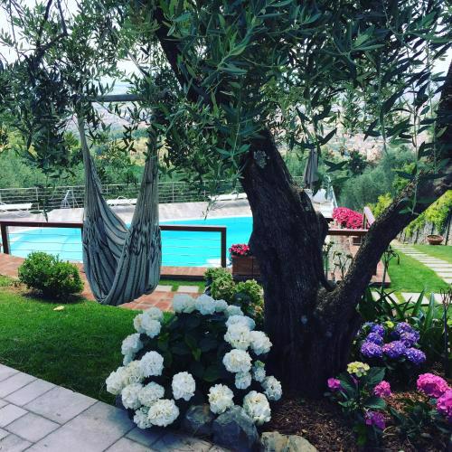 Villa l'Uliveta